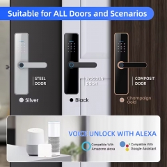 YH-C19 Security Digit Electric Electronic Handle Digital Tuya Ttlock Cerraduras Inteligentes Con Wifi Keys Fingerprint Door Smart Locks