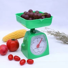YH-50010 School Students Teaching Instrument Display Metering Weighing Elementary Spring Scale Kitchen Baking Scale