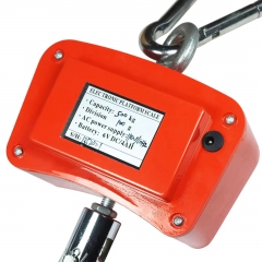 OCS-B1 Calibrate Digital Crane Weighing Scale 500 kg 1000 kg Heavy Duty Electronic Hanging Scale