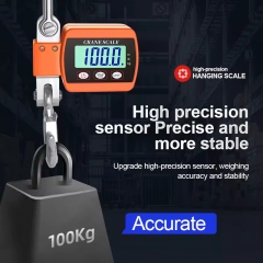 OCS-P4 High Capacity 0.5t Heavy Duty Digital Crane Scale Industrial Electronic Hanging Weighing Scale