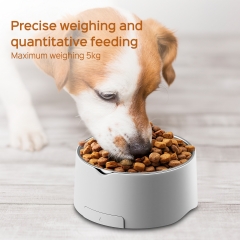 YH-CR2032 Popular High Accuracy Max 5kg/1g Pet Bowl Food Smart Kitchen Scale Food Scale Digital Kitchen Scale