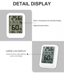 AL-8A Electronic Indoor/outdoor Digital Thermometer with Sound and Light Alarm Function
