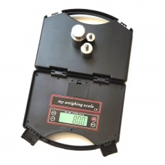 DT-230-25000 25kg/1g New Portable Electronic Scale Gram Balance Kitchen Food Scale 25kg Electric Kitchen Scale