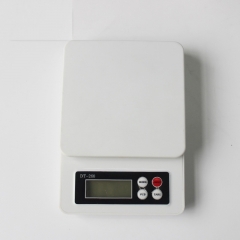 DT-260 1kg/0.1g 2kg/0.1g 3kg/0.1g Electronic scale kitchen baking scale