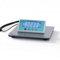 SF-885 300kg/50g Stainless Steel Electronic Postal Parcel Scale for Package Shipping & Luggage Weighing High Accuracy OEM & ODM Supported