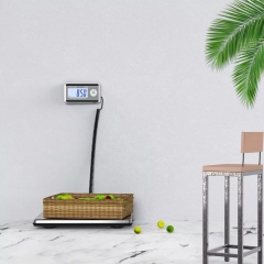 SF-889 200kg Stainless Steel Luggage Platform Scale 440lbs Postal Weight Measuring LCD Display OEM ODM for Express Delivery