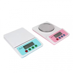 SF-417 500g*0.1g Kinetic Energy Battery-free Digital Stainless Steel Kitchen Scale
