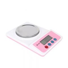 SF-417 500g*0.1g Kinetic Energy Battery-free Digital Stainless Steel Kitchen Scale