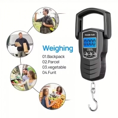 C101-75kg 75KG/165LB Digital Travel Luggage Hand Hanging Fishing Fish Weight Scale with Hook