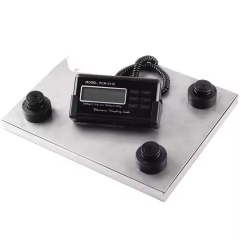 PCR-3115-A 300kg Heavy Duty Digital Postal Scale ABS Floor LCD Display Weighing Scale OEM Customizable