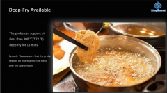 DT-NT5014 Single probe 4-sensor electronic frying thermometer For Wireless Smart Meat Thermometer for Oven Grill Smoker Kitchen Rotisserie With Bluetooth