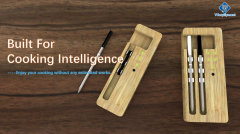 DT-NT5022 2-probe 2-sensor electronic frying thermometer For Wireless Smart Meat Thermometer for Oven Grill Smoker Kitchen Rotisserie With Bluetooth