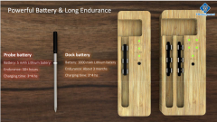 DT-NT5022 2-probe 2-sensor electronic frying thermometer For Wireless Smart Meat Thermometer for Oven Grill Smoker Kitchen Rotisserie With Bluetooth