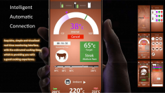 DT-NT5014 Single probe 4-sensor electronic frying thermometer For Wireless Smart Meat Thermometer for Oven Grill Smoker Kitchen Rotisserie With Bluetooth