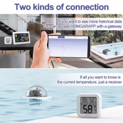 THE11485161 Wholesale Digital Pool Thermometer - Accurate Swimming Water Temperature Sensor for Consumer Electronics