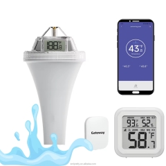 THE11485161 Wholesale Digital Pool Thermometer - Accurate Swimming Water Temperature Sensor for Consumer Electronics