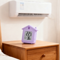 YH251025 56mm high Mini Temperature and Humidity Monitor