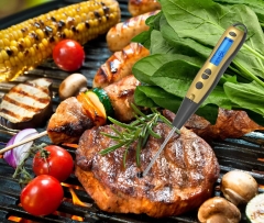 DTF12 Factory Price Promotional Gift Stainless Steel Probe and Fork Digital Meat Thermometer