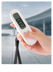 DY-175 Portable 50kg Digital Luggage Scale Big LCD Screen Stainless Steel Hanging Scale LED Display Battery for Weight Measurement