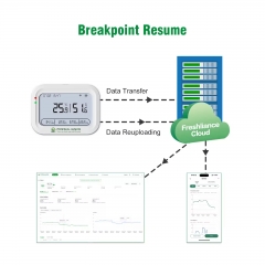 Coeus-4G Real Time Monitoring Temperature and Humidity Data Logger Recorder With 4G&WIFI
