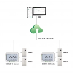 Coeus-4G Real Time Monitoring Temperature and Humidity Data Logger Recorder With 4G&WIFI