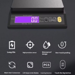 WH-B30L Stainless Steel Portable Mini Electronic 10kg Digital Kitchen Weighing Scale with Lithium Battery Household