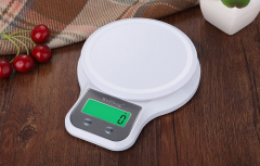 WH-B21 3kg/1g Digital Electronic Weight Kitchen Food Scale with light 3000g/0.1g