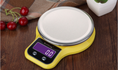 WH-B21 3kg/1g Digital Electronic Weight Kitchen Food Scale with light 3000g/0.1g
