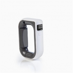 L2400 Hot sales Portable electronic scale high-precision express scale digital luggage balance