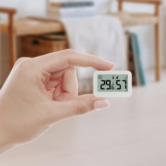 OW-5289 Portable Mini Digital Hygrometer for Home Simple Rectangular Electronic Temperature Humidity Meter for Greenhouse/Bedroom