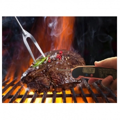 SN175B Ultra-thin Folding LCD Instant Read Barbecue & Kitchen Food Roast Meat Oven Thermomete