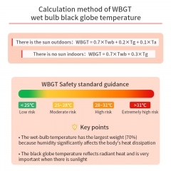 AZOVTES JE360 Factory Direct Sales High Quality WBGT Heat Index Meter Black Ball Temperature Humidity Tester Heatstroke