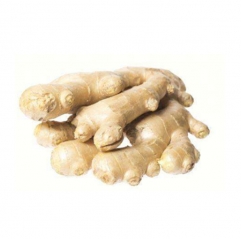Ginger Oleoresins 100% Pure And Natural Manufacturer Wholesale