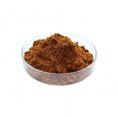 Organic Reishi Mushroom Extract Powder