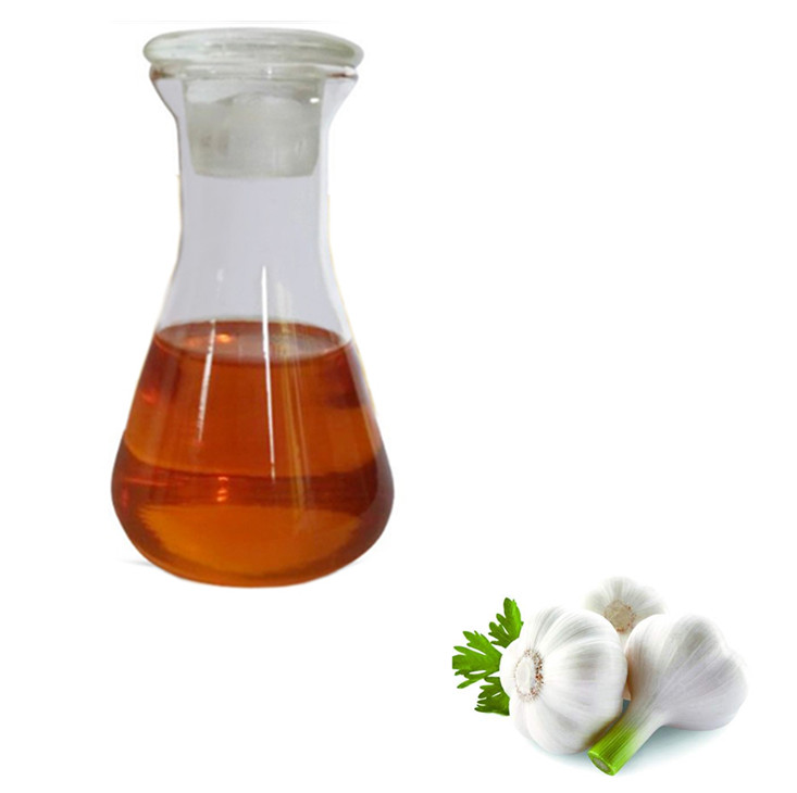 Garlic Oil | Alternative to Antibiotics in The Food Industry