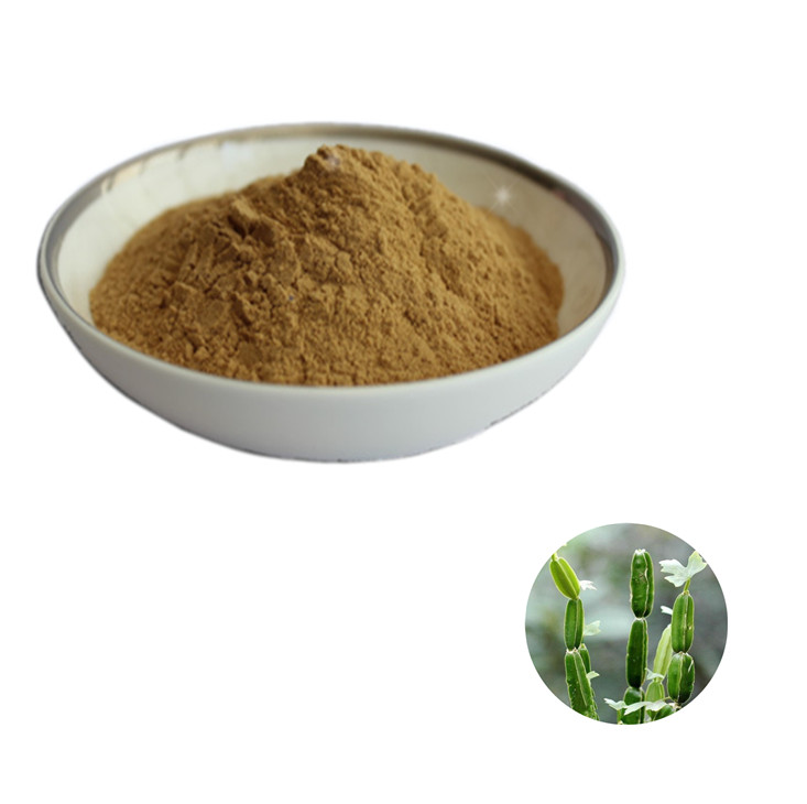 Review and Evaluation of the Efficacy of Cissus Quadrangularis Extracts