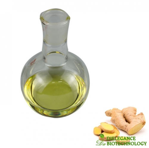 Steam Distillation Premium Quality Ginger Essential Oil at Wholesale Prices