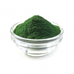 Poudre d'extrait de spiruline en vrac en gros