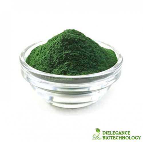 Poudre d'extrait de spiruline en vrac en gros