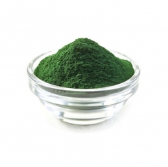 Großhandel Groß Chlorella Pulver