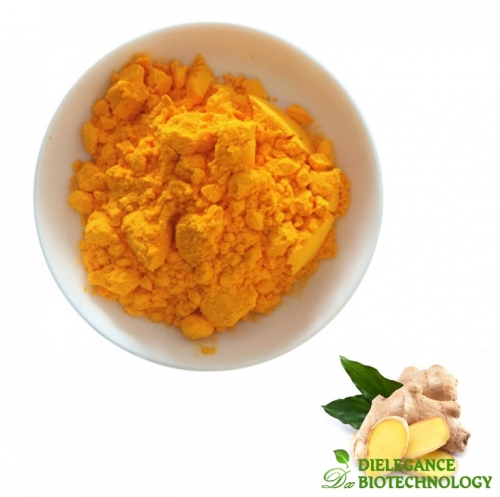 Ginger Root Extract 5% Gingerol Powder