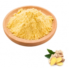 Pure Ginger Extract Powder