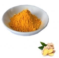 Wholesale Ginger Root Extract Gingerols Powder