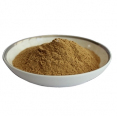 Berberis Vulgaris Extract Powder