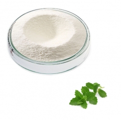 Stevia Extract 99% Rebaudioside A Powder