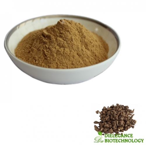 Phlomis Umbrosa Extract Powder