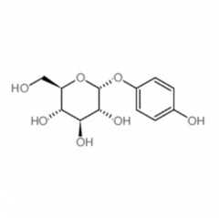 Bärentraubenextrakt Alpha Arbutin Pulver