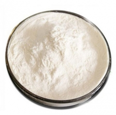 Stevia Extrakt 99% Rebaudiosid EIN Pulver