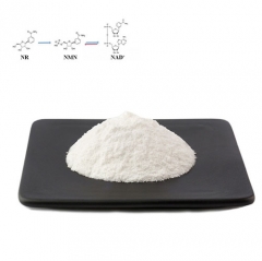 Beta Nicotinamide Mononucleotide