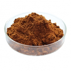 Organic Antrodia Camphorata Extract Powder